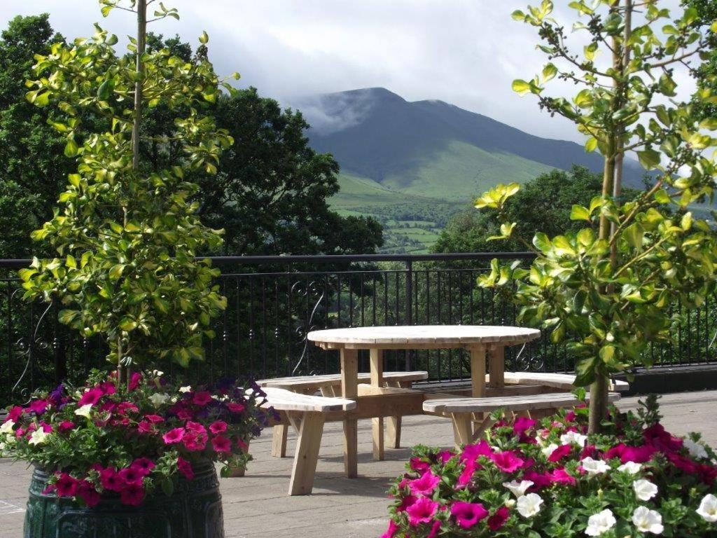 Aherlow House Hotel & Lodges Exterior photo